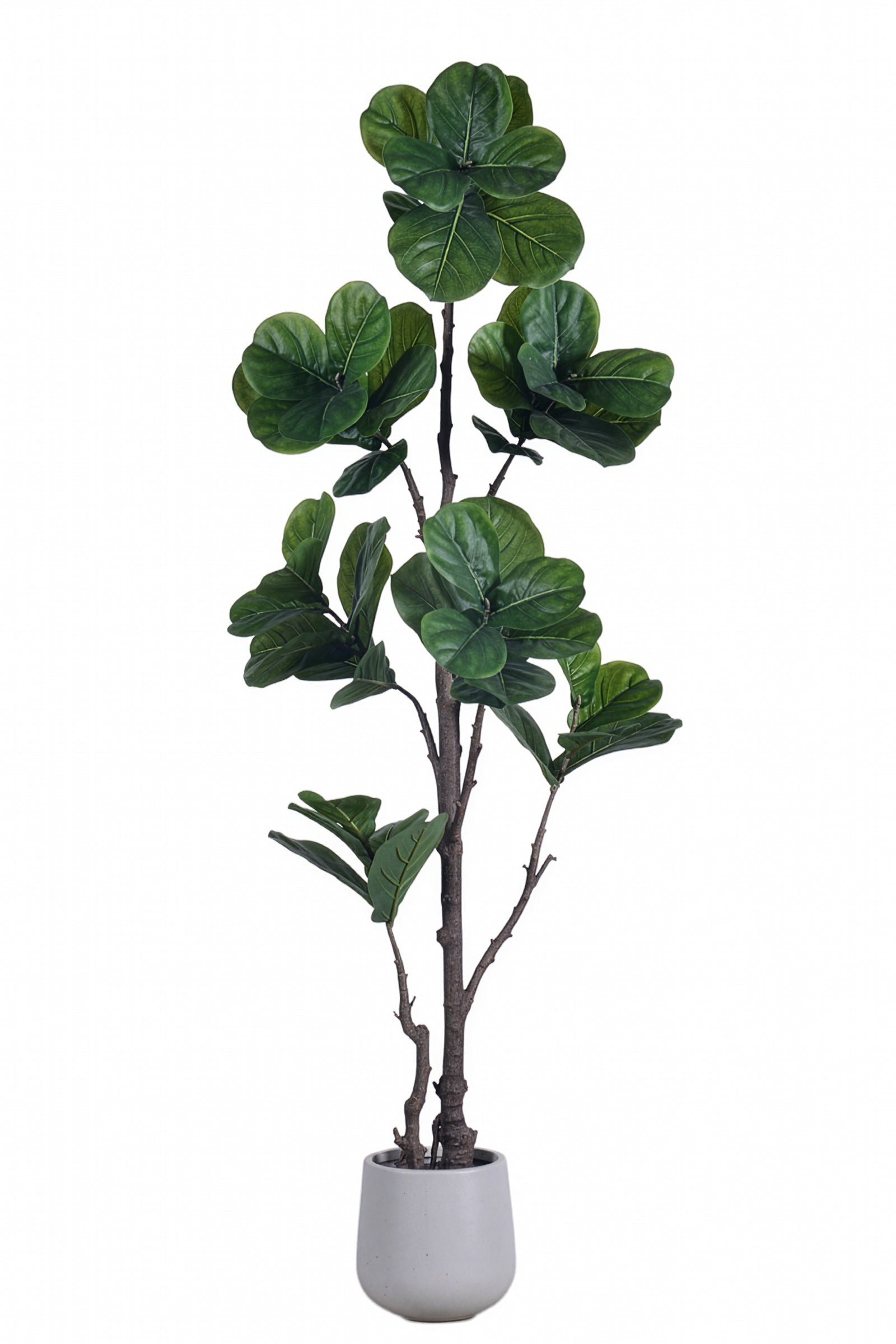 Fiddle K: Artificial Multi-Branch Fiddle Leaf Fig Tree with Thick Leaves