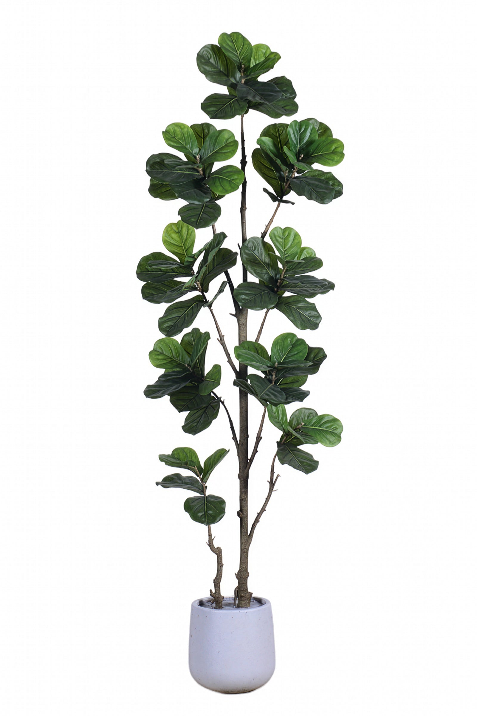 Fiddle K: Artificial Multi-Branch Fiddle Leaf Fig Tree with Thick Leaves