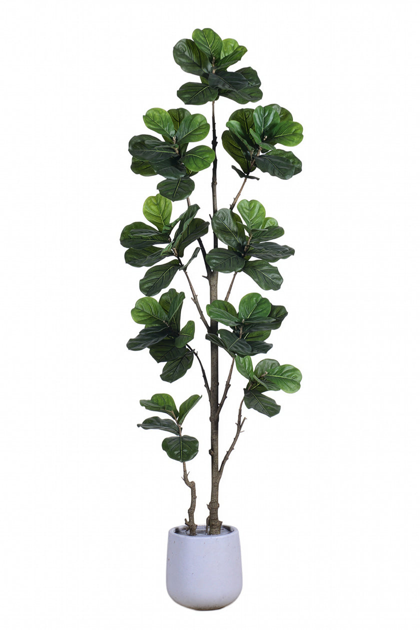 Fiddle K: Artificial Multi-Branch Fiddle Leaf Fig Tree with Thick Leaves