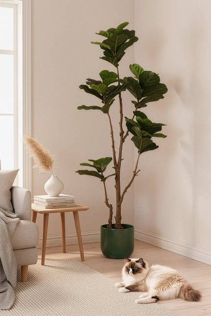 Fiddle K: Artificial Multi-Branch Fiddle Leaf Fig Tree with Thick Leaves