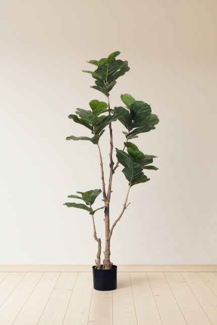 Fiddle K: Artificial Multi-Branch Fiddle Leaf Fig Tree with Thick Leaves