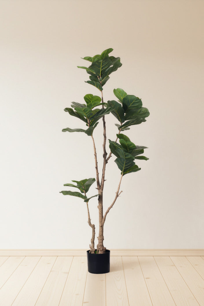Fiddle K: Artificial Multi-Branch Fiddle Leaf Fig Tree with Thick Leaves