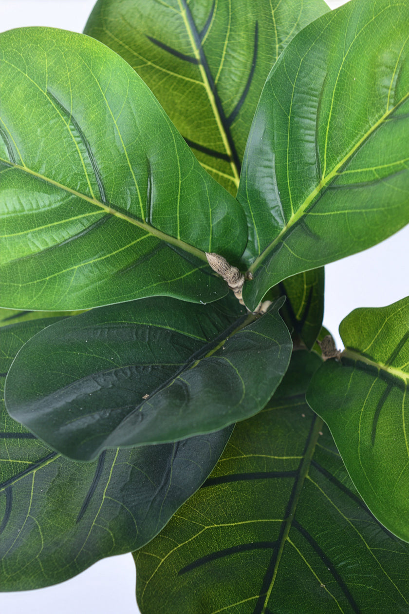 Fiddle K: Artificial Multi-Branch Fiddle Leaf Fig Tree with Thick Leaves