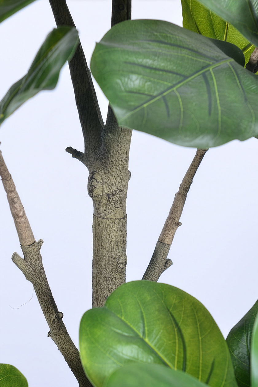 Fiddle K: Artificial Multi-Branch Fiddle Leaf Fig Tree with Thick Leaves
