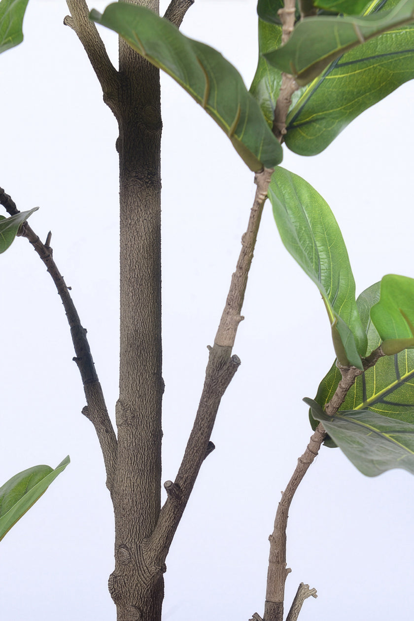 Fiddle K: Artificial Multi-Branch Fiddle Leaf Fig Tree with Thick Leaves