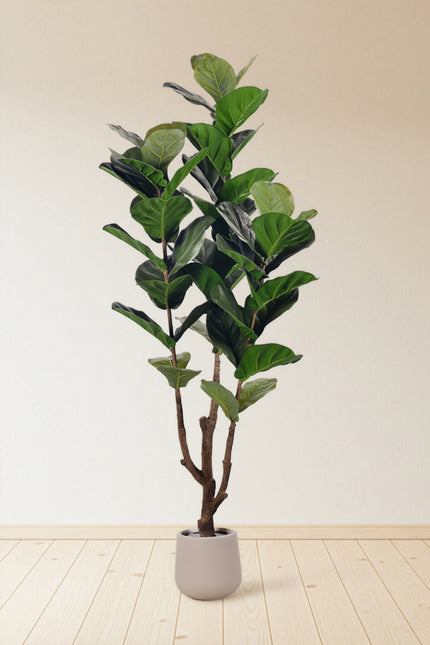 Fiddle L: Artificial Fiddle Leaf Fig Tree with Strong Upright Trunks