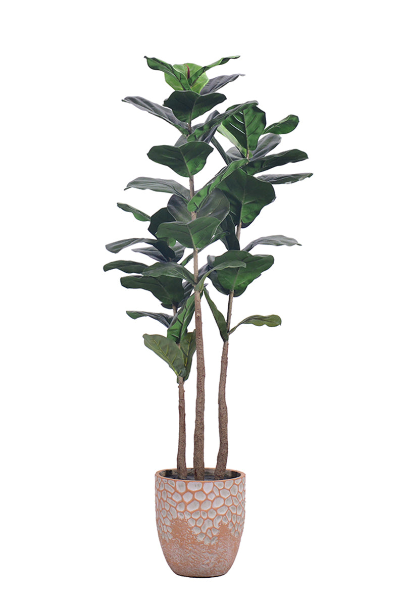 Fiddle M: Artificial Fiddle Leaf Fig Tree with Triple Trunks and Pot