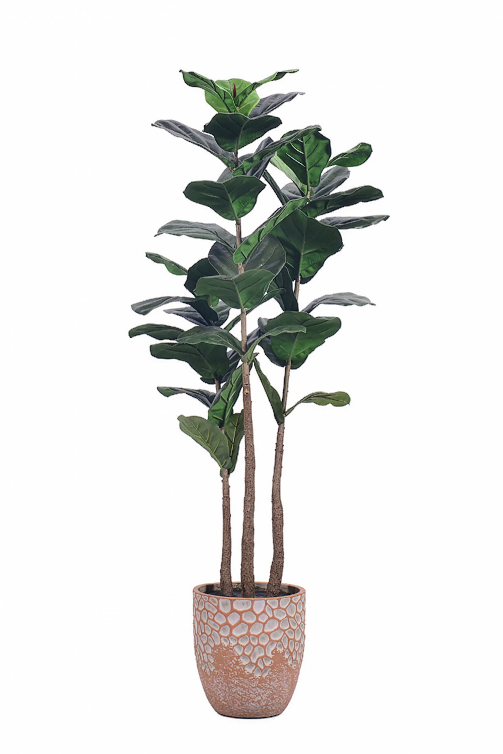 Fiddle M : Figuier artificiel Fiddle Leaf à trois troncs et pot