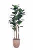 Fiddle M : Figuier artificiel Fiddle Leaf à trois troncs et pot