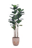 Fiddle M: Artificial Fiddle Leaf Fig Tree with Triple Trunks and Pot
