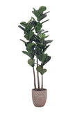 Fiddle M: Artificial Fiddle Leaf Fig Tree with Triple Trunks and Pot