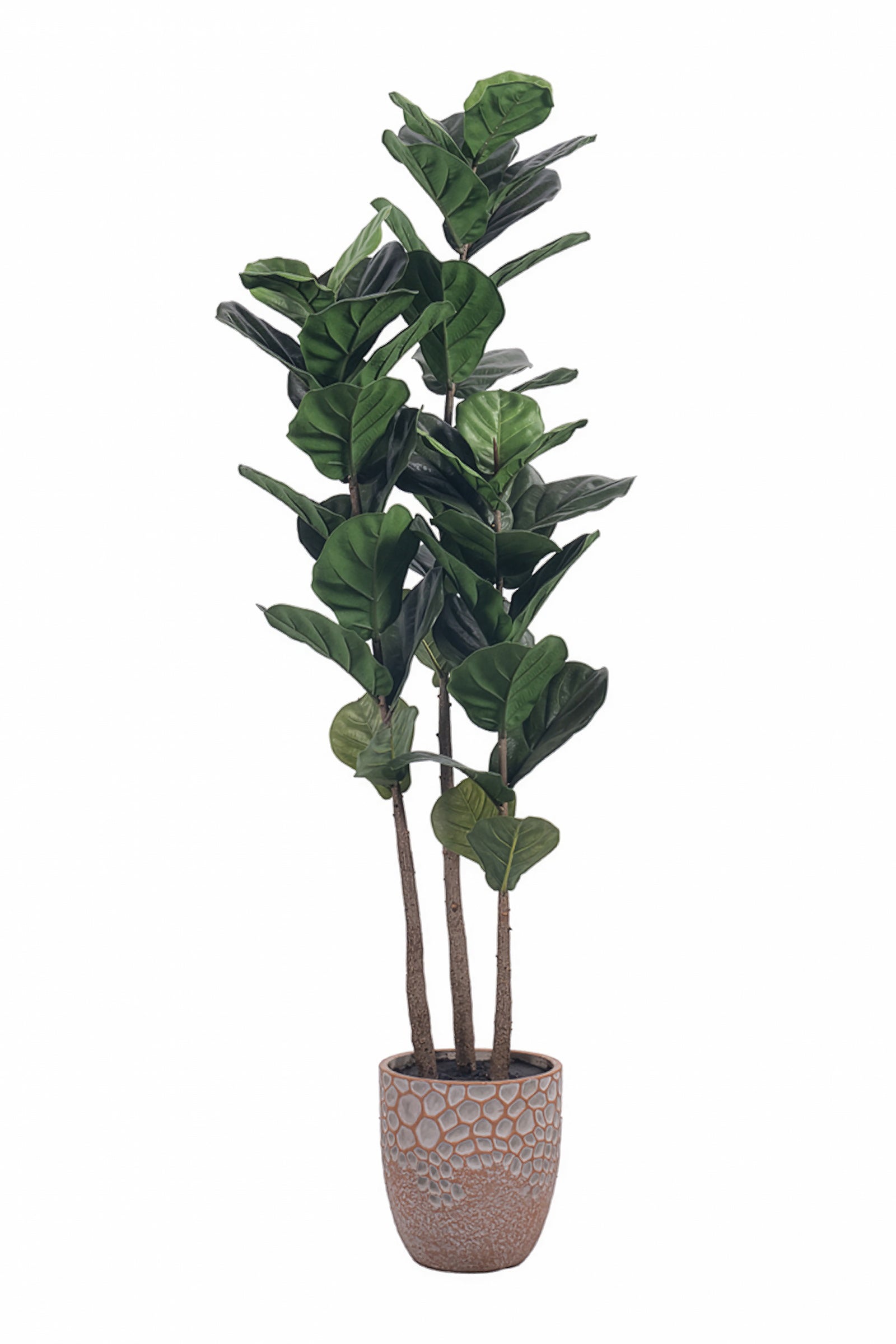 Fiddle M : Figuier artificiel Fiddle Leaf à trois troncs et pot