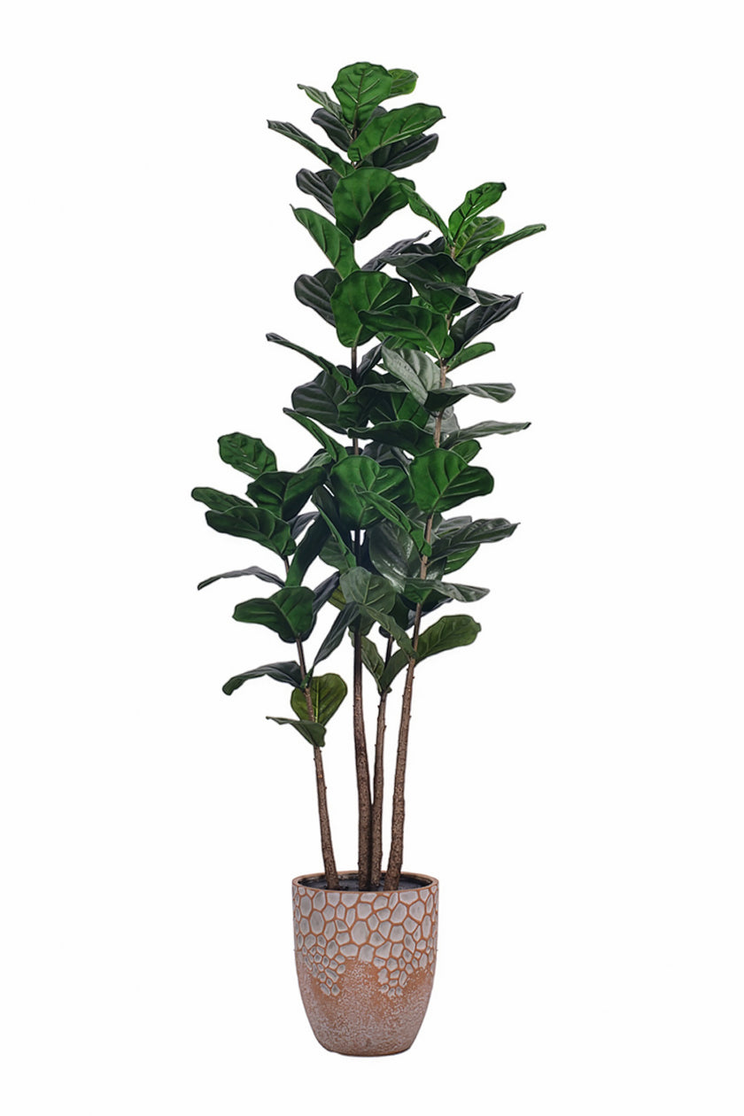 Fiddle M : Figuier artificiel Fiddle Leaf à trois troncs et pot