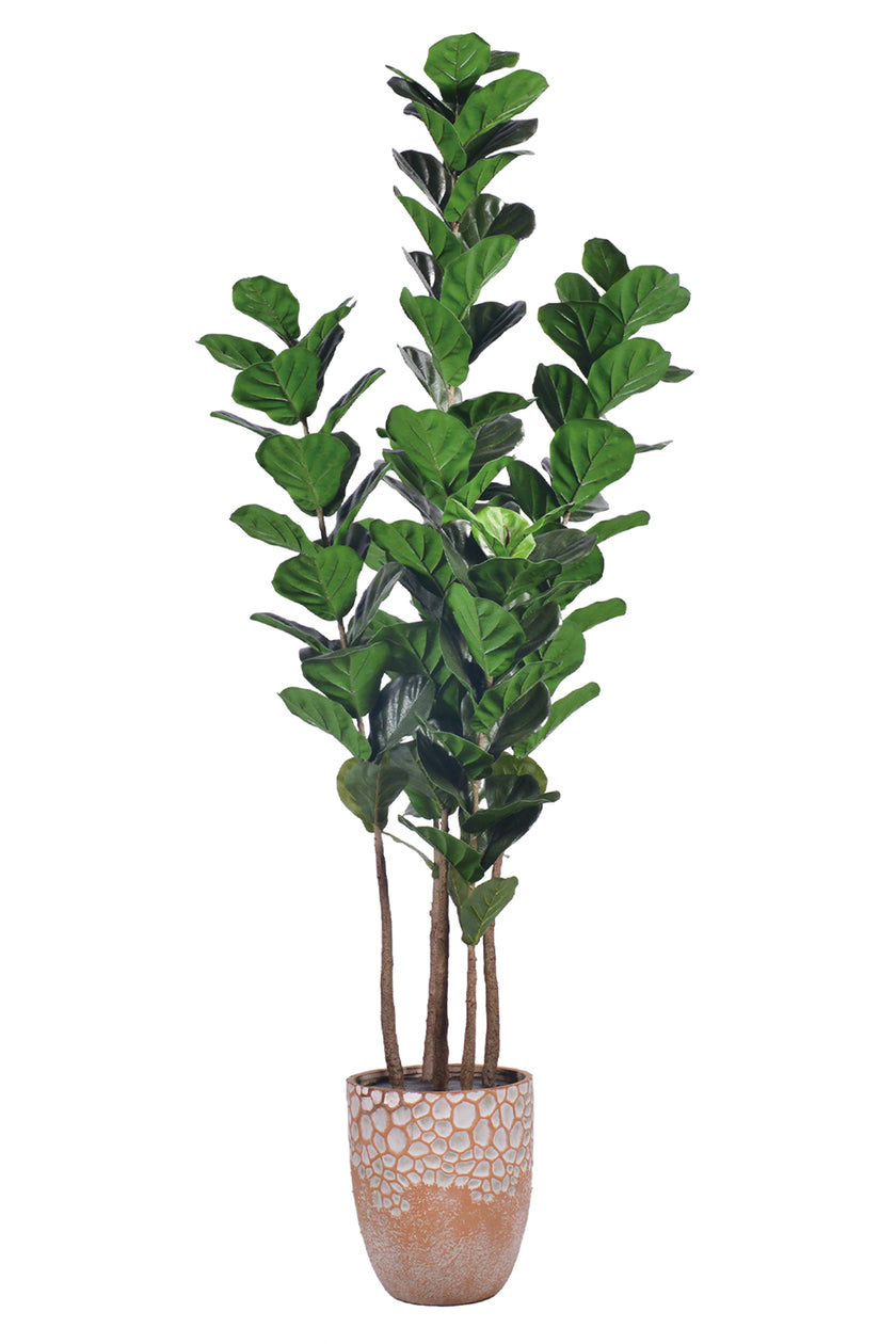 Fiddle M : Figuier artificiel Fiddle Leaf à trois troncs et pot