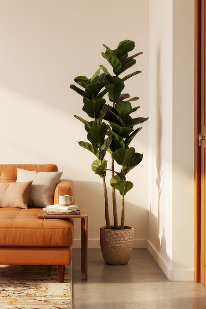 Fiddle M: Artificial Fiddle Leaf Fig Tree with Triple Trunks and Pot