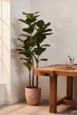 Fiddle M : Figuier artificiel Fiddle Leaf à trois troncs et pot