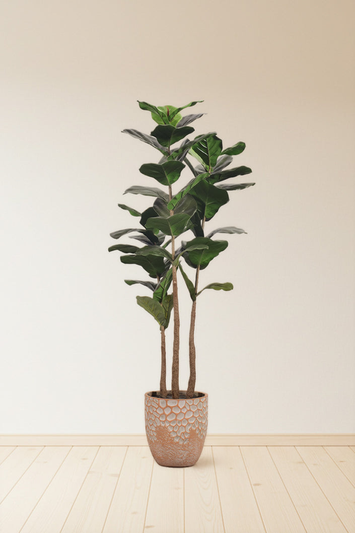 Fiddle M: Artificial Fiddle Leaf Fig Tree with Triple Trunks and Pot