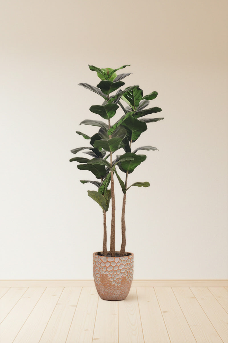 Fiddle M: Artificial Fiddle Leaf Fig Tree with Triple Trunks and Pot