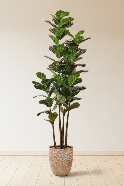 Fiddle M: Artificial Fiddle Leaf Fig Tree with Triple Trunks and Pot
