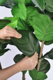 Fiddle M : Figuier artificiel Fiddle Leaf à trois troncs et pot