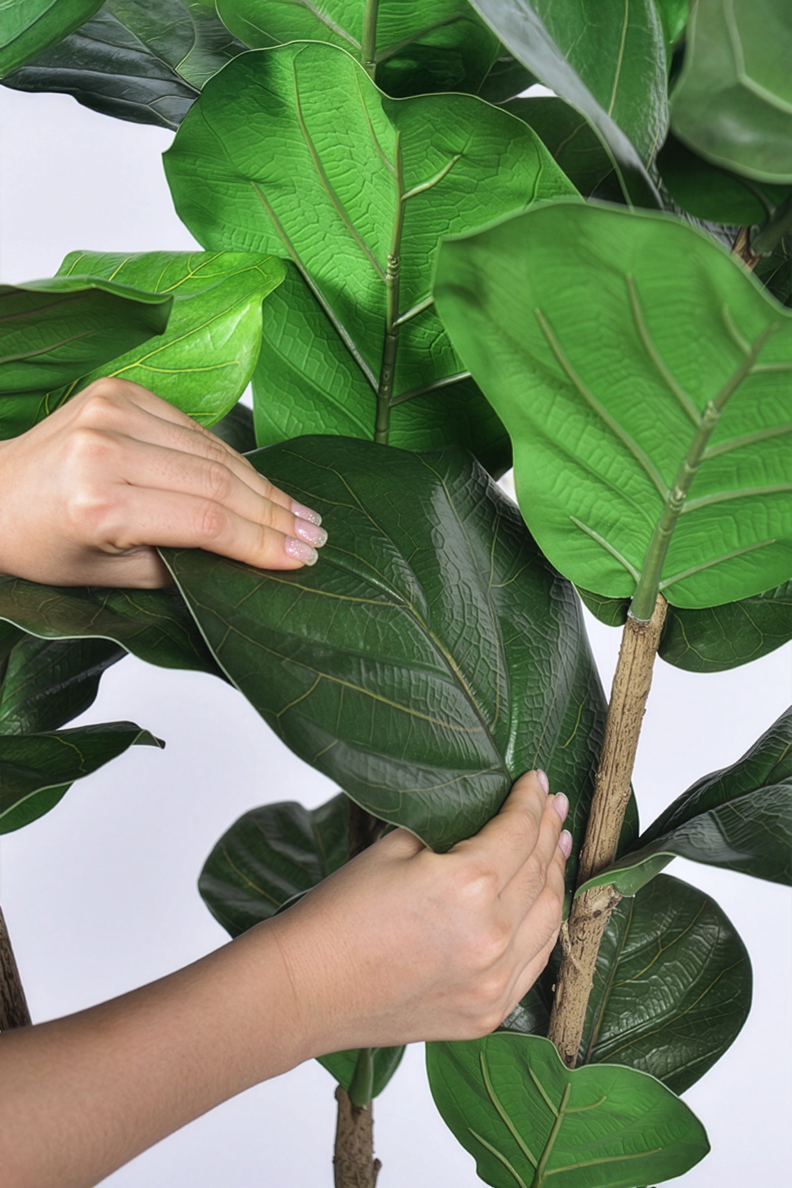 Fiddle M : Figuier artificiel Fiddle Leaf à trois troncs et pot