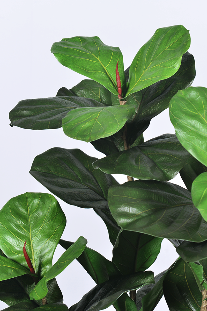 Fiddle M: Artificial Fiddle Leaf Fig Tree with Triple Trunks and Pot