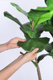 Fiddle M : Figuier artificiel Fiddle Leaf à trois troncs et pot