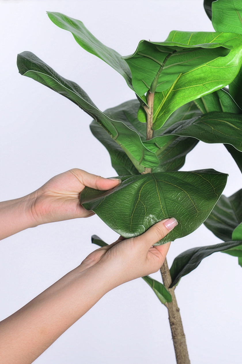 Fiddle M : Figuier artificiel Fiddle Leaf à trois troncs et pot