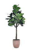 Fiddle N: Artificial Fiddle Leaf Fig Tree with a Mature Single Trunk