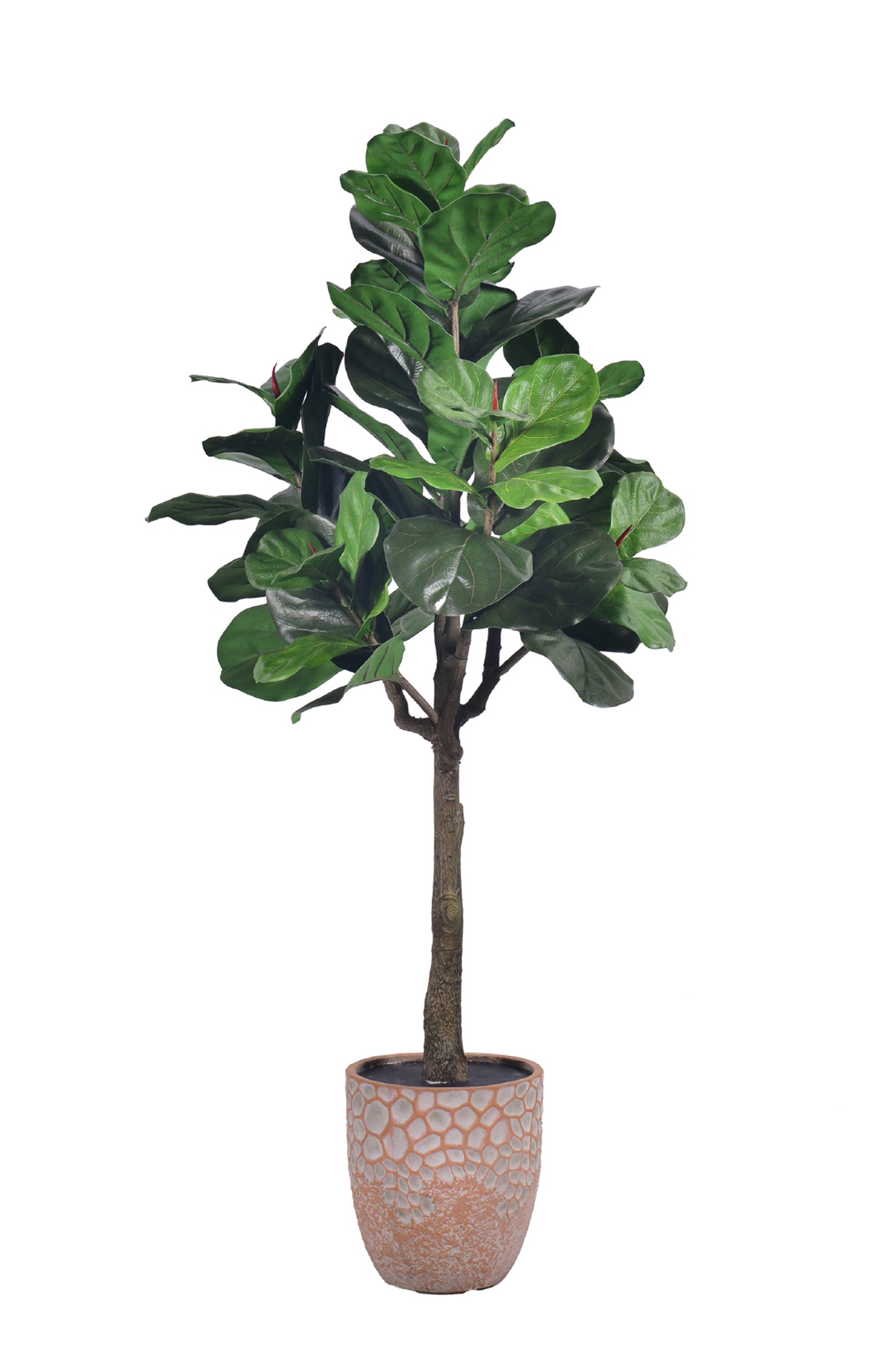 Fiddle N: Artificial Fiddle Leaf Fig Tree with a Mature Single Trunk