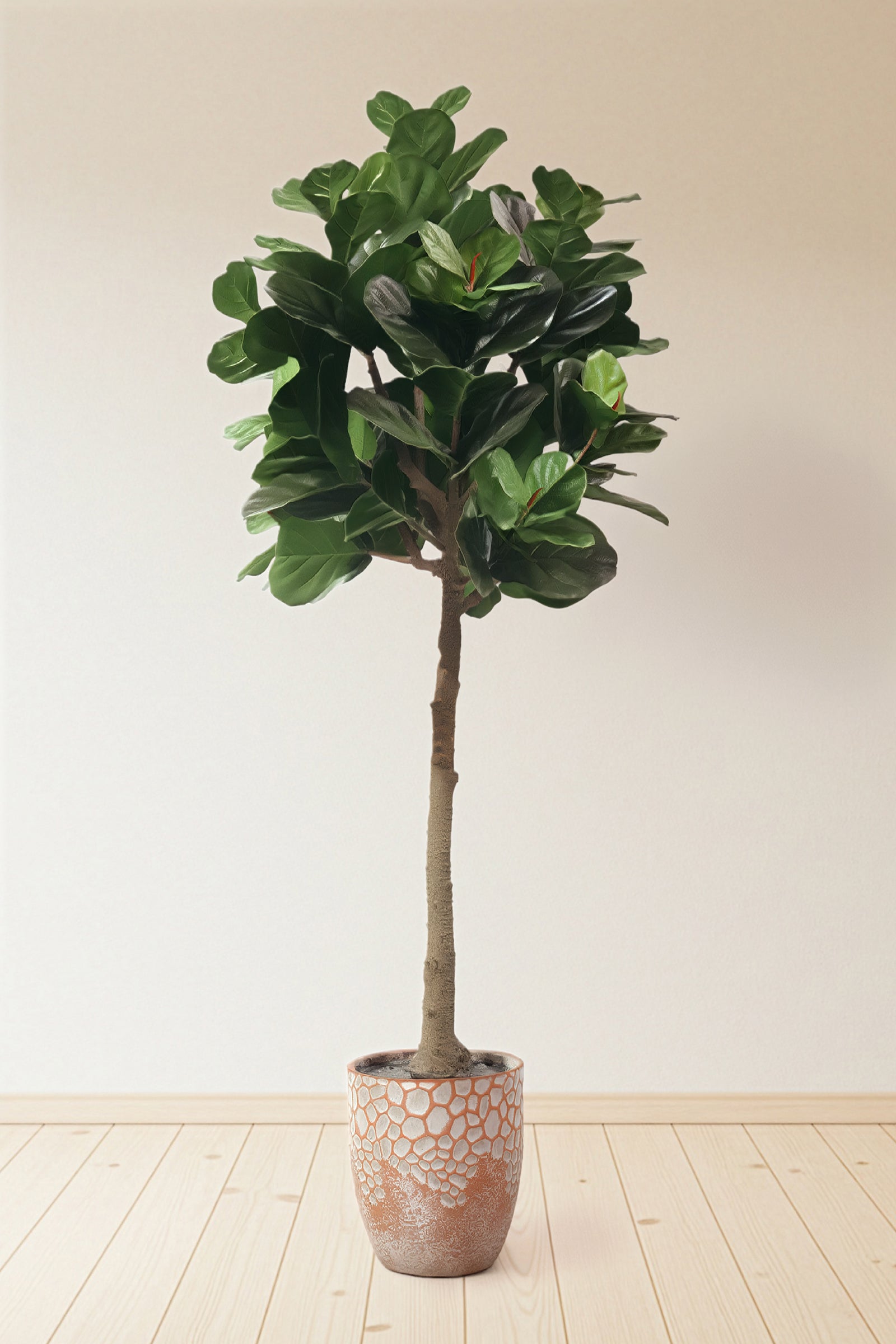 Fiddle N: Artificial Fiddle Leaf Fig Tree with a Mature Single Trunk