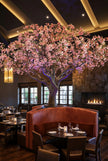 Customized Flowering Trees