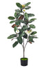 Magnolia A: with White Flowers and Real Touch Leaves