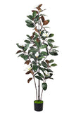 Magnolia A: with White Flowers and Real Touch Leaves