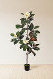 Magnolia A: with White Flowers and Real Touch Leaves