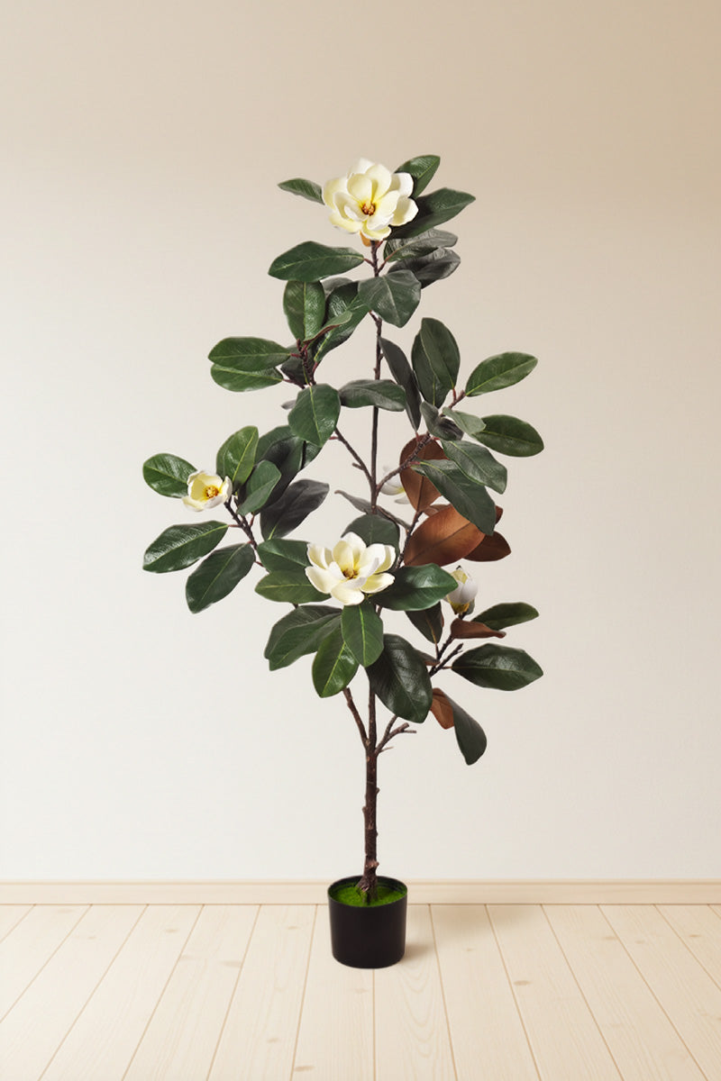 Magnolia A: with White Flowers and Real Touch Leaves