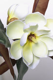 Magnolia A: with White Flowers and Real Touch Leaves