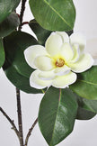 Magnolia A: with White Flowers and Real Touch Leaves