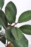 Magnolia A: with White Flowers and Real Touch Leaves