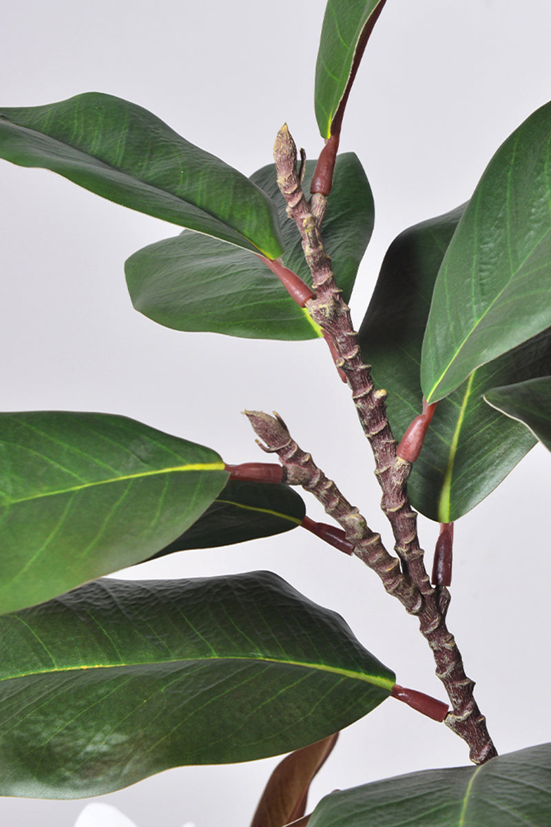 Magnolia A: with White Flowers and Real Touch Leaves
