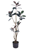 Magnolia E: with Realistic Branches and Real Touch Leaves