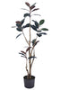 Magnolia E: with Realistic Branches and Real Touch Leaves