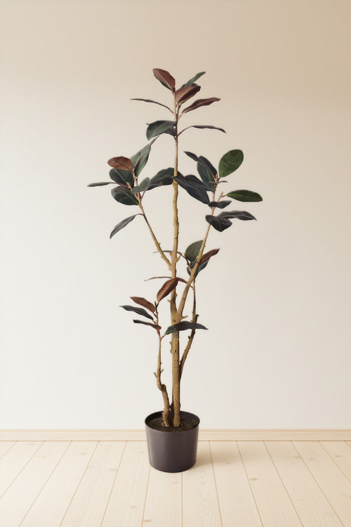 Magnolia E: with Realistic Branches and Real Touch Leaves