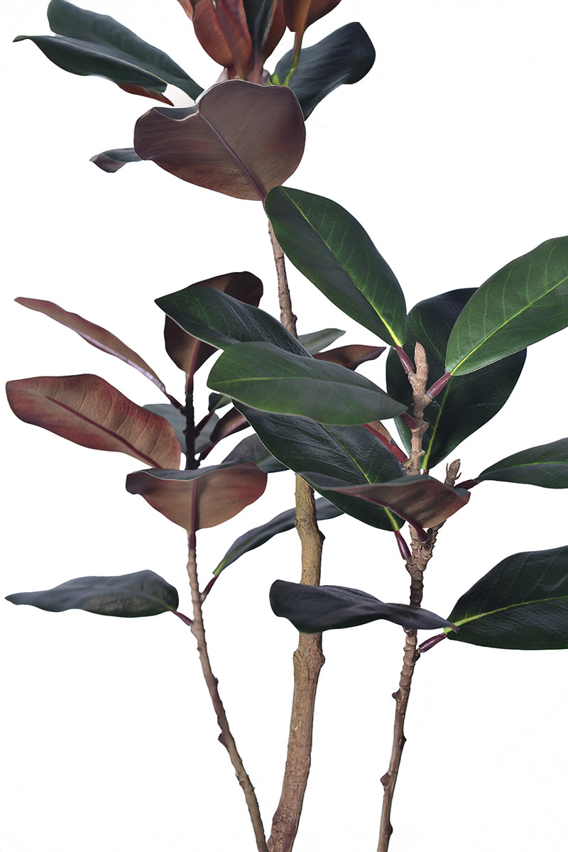 Magnolia E: with Realistic Branches and Real Touch Leaves