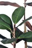 Magnolia E: with Realistic Branches and Real Touch Leaves