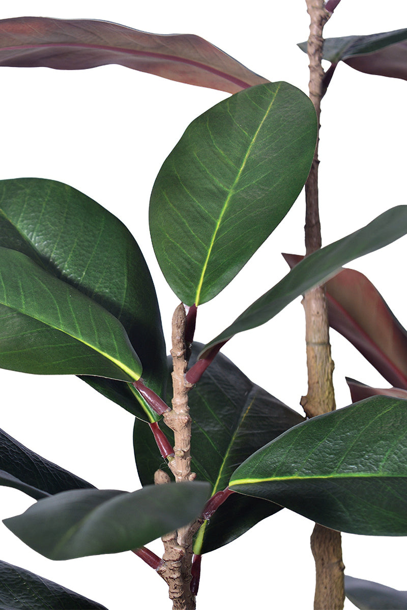 Magnolia E: with Realistic Branches and Real Touch Leaves