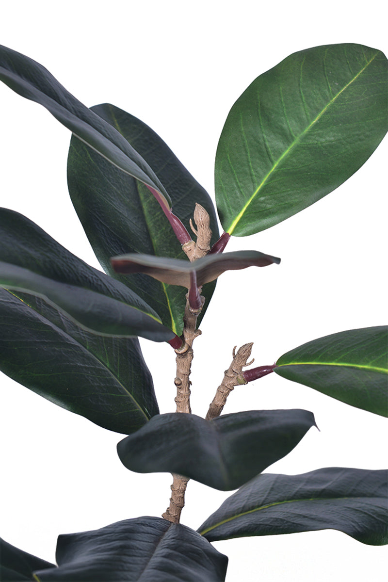Magnolia E: with Realistic Branches and Real Touch Leaves