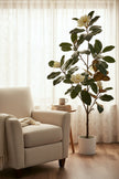 Magnolia A: with White Flowers and Real Touch Leaves