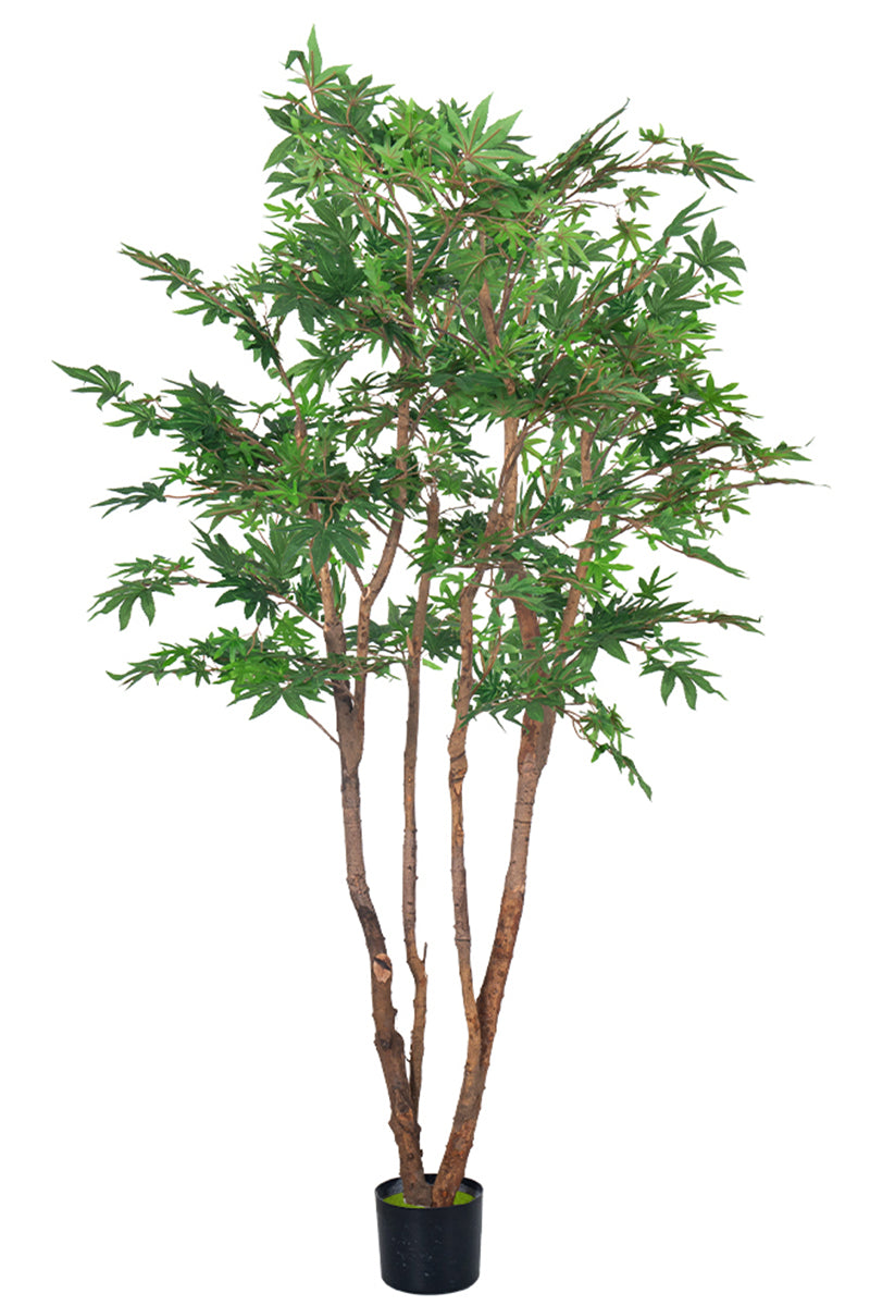 Maple B: Artificial Japanese Green Maple Tree with Multi Trunks