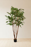 Maple B: Artificial Japanese Green Maple Tree with Multi Trunks
